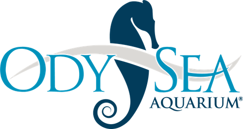 OA-Logos-noTagline-Primary